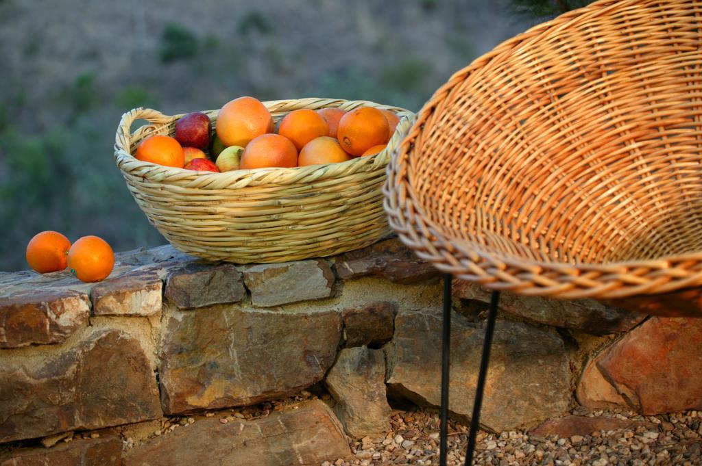 Monte Da Vilarinha Maison d'hôtes Carrapateira